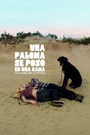 Imagen Una Paloma Se Posó en Una Rama a Reflexionar Sobre La Existencia (2014)