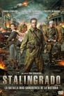 Imagen Stalingrado (2013)