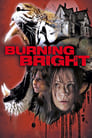 Imagen Burning Bright (Atrapada) (2010)